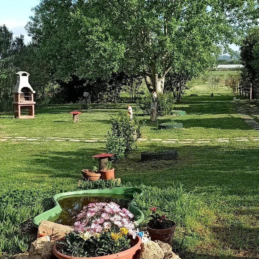 Agriturismo Il Cipresso Vada Exterior foto