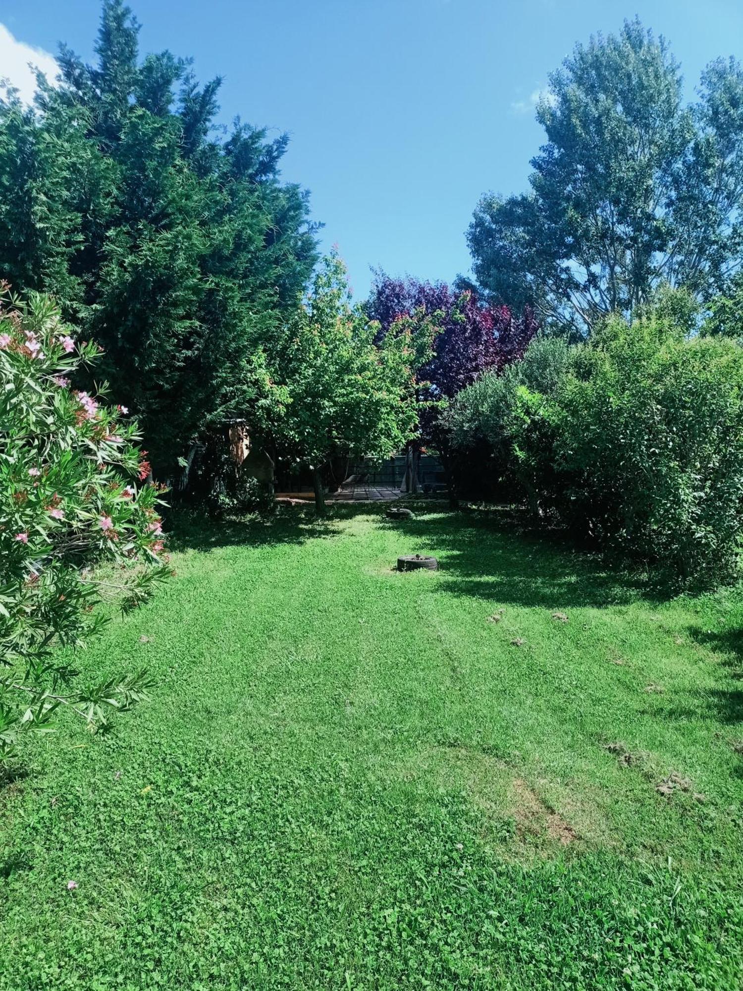 Agriturismo Il Cipresso Vada Exterior foto