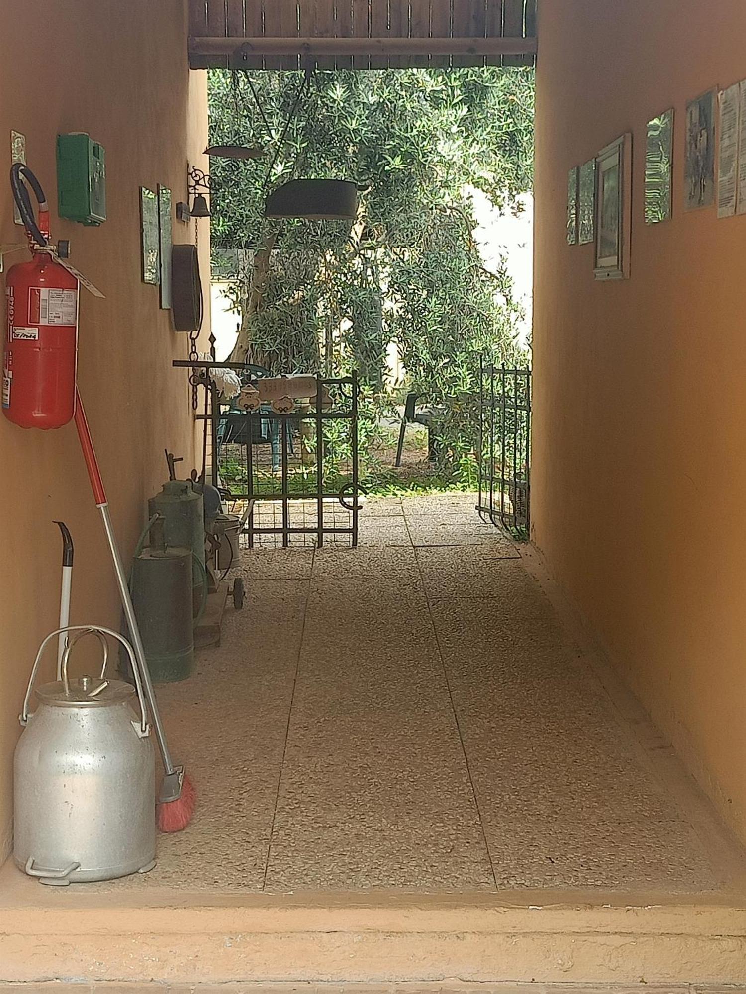 Agriturismo Il Cipresso Vada Exterior foto